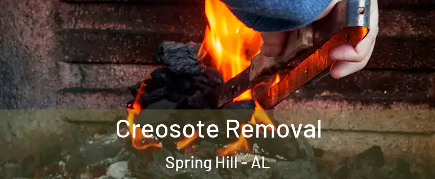 Creosote Removal Spring Hill - AL