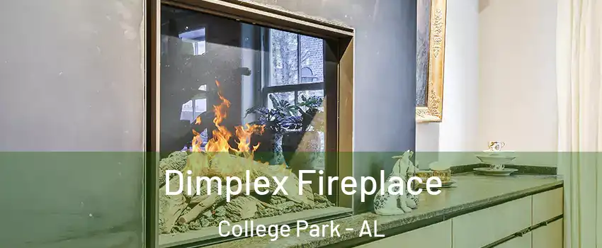 Dimplex Fireplace College Park - AL