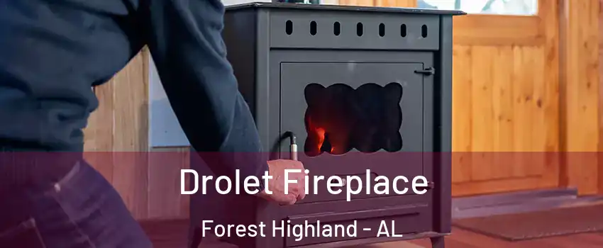 Drolet Fireplace Forest Highland - AL