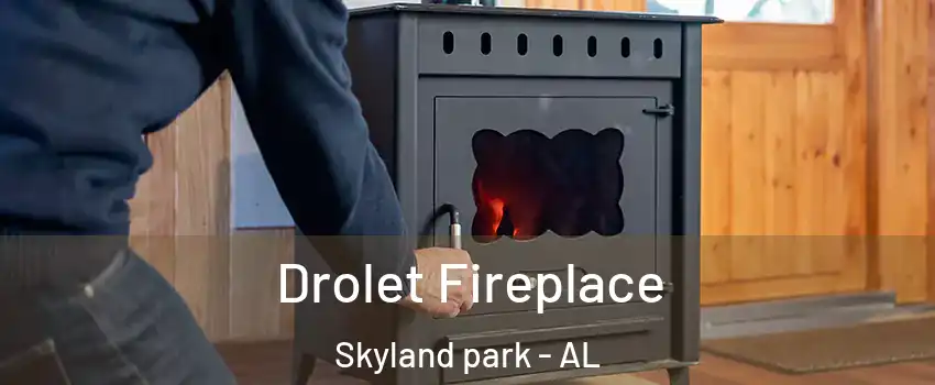 Drolet Fireplace Skyland park - AL