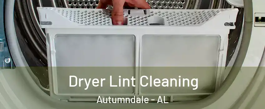 Dryer Lint Cleaning Autumndale - AL