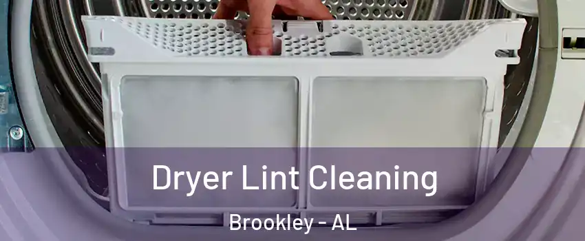 Dryer Lint Cleaning Brookley - AL