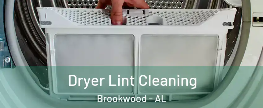 Dryer Lint Cleaning Brookwood - AL