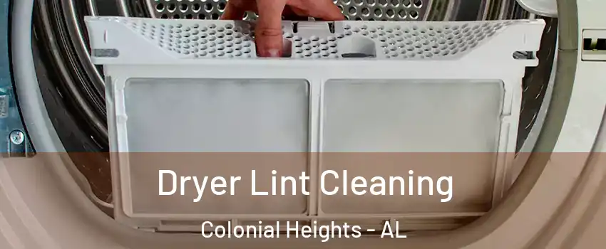 Dryer Lint Cleaning Colonial Heights - AL