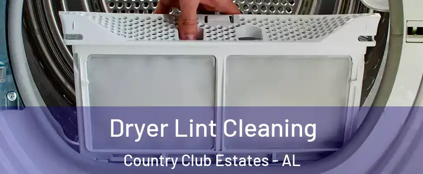 Dryer Lint Cleaning Country Club Estates - AL