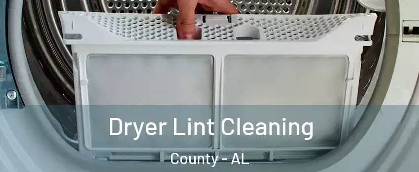 Dryer Lint Cleaning County - AL