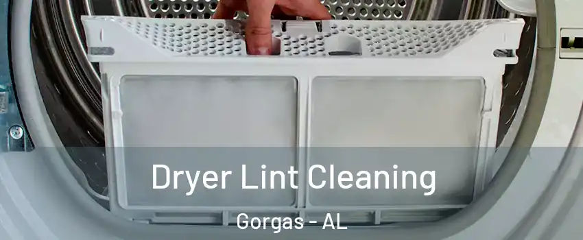 Dryer Lint Cleaning Gorgas - AL