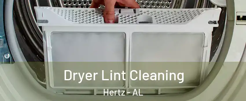 Dryer Lint Cleaning Hertz - AL