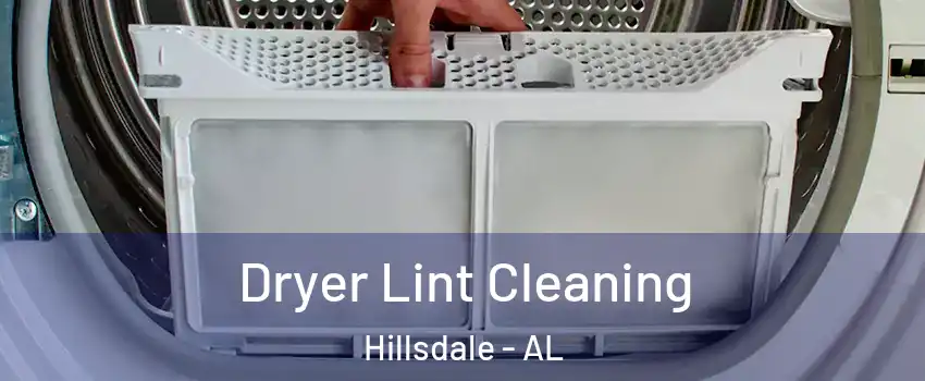 Dryer Lint Cleaning Hillsdale - AL