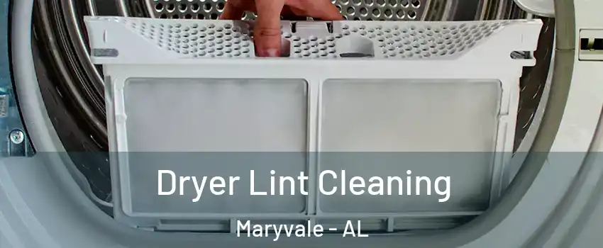 Dryer Lint Cleaning Maryvale - AL