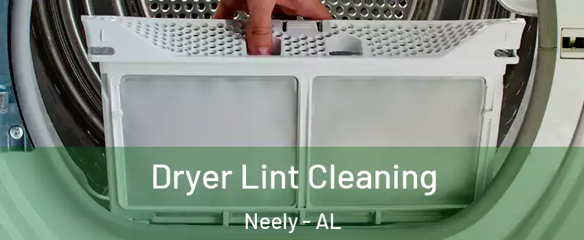 Dryer Lint Cleaning Neely - AL