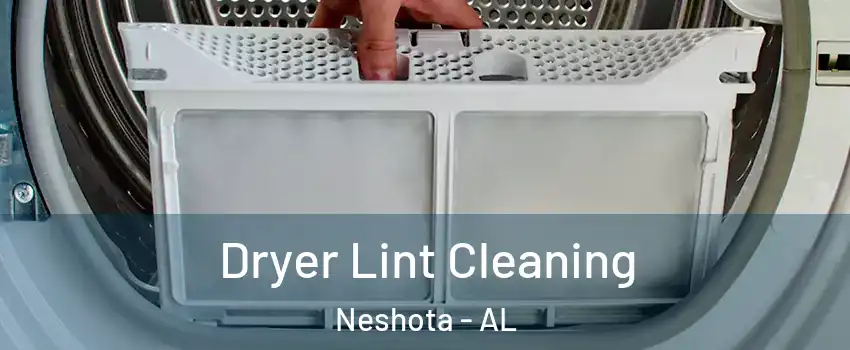 Dryer Lint Cleaning Neshota - AL