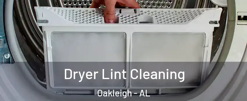 Dryer Lint Cleaning Oakleigh - AL