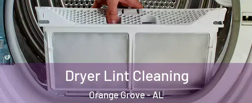 Dryer Lint Cleaning Orange Grove - AL