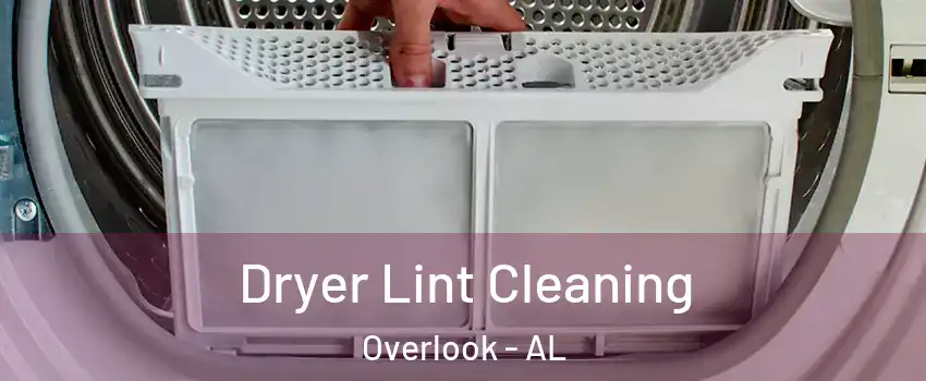 Dryer Lint Cleaning Overlook - AL