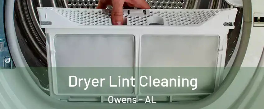 Dryer Lint Cleaning Owens - AL