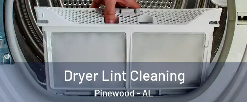 Dryer Lint Cleaning Pinewood - AL