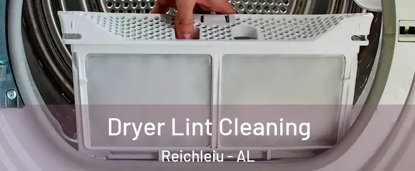 Dryer Lint Cleaning Reichleiu - AL