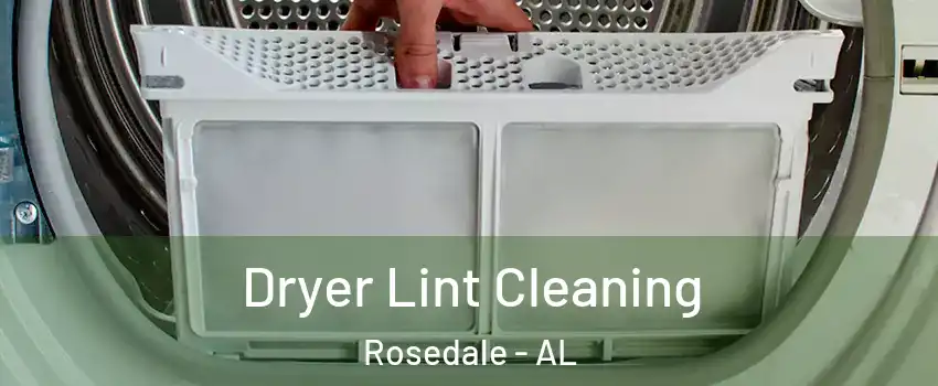 Dryer Lint Cleaning Rosedale - AL