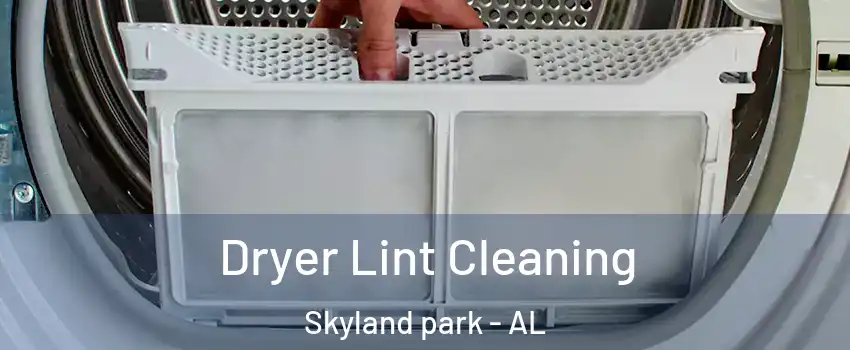 Dryer Lint Cleaning Skyland park - AL
