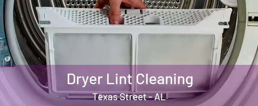 Dryer Lint Cleaning Texas Street - AL