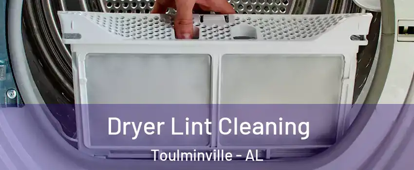 Dryer Lint Cleaning Toulminville - AL