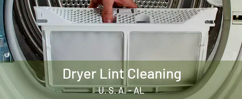 Dryer Lint Cleaning U. S. A. - AL