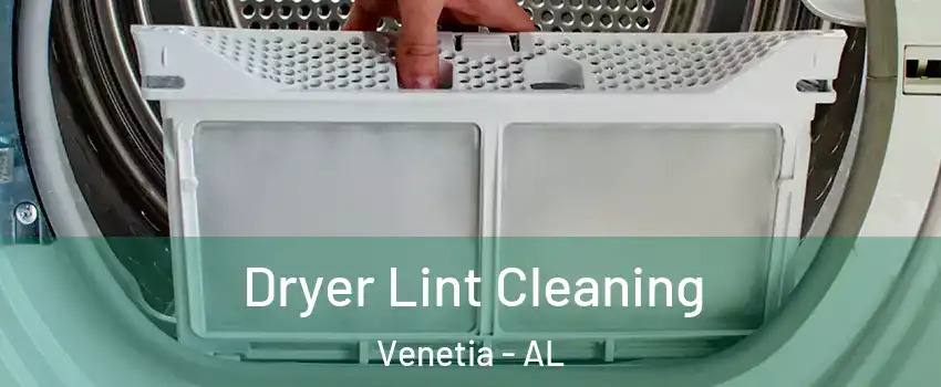 Dryer Lint Cleaning Venetia - AL