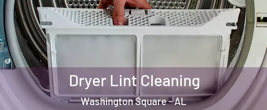 Dryer Lint Cleaning Washington Square - AL