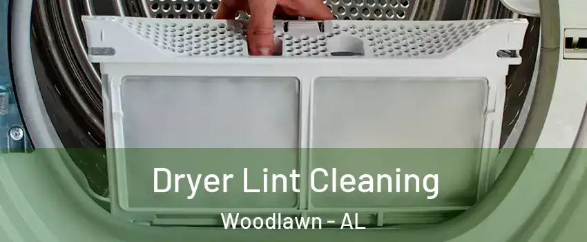 Dryer Lint Cleaning Woodlawn - AL