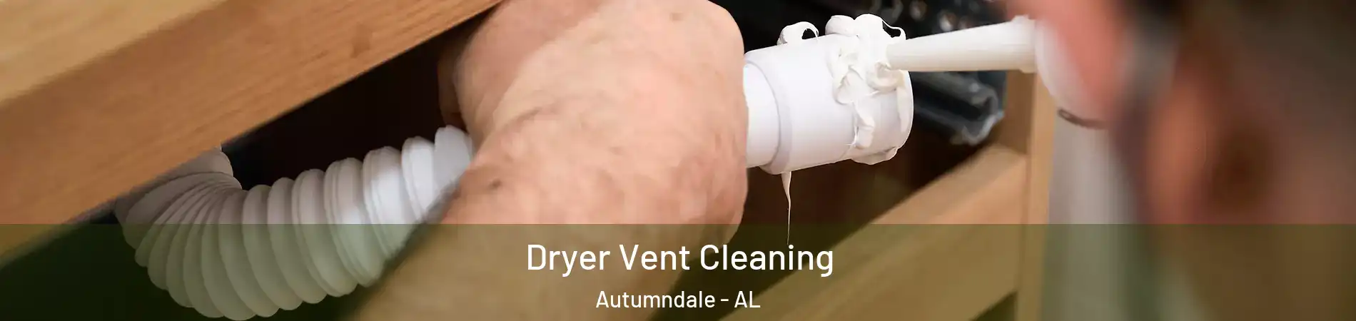 Dryer Vent Cleaning Autumndale - AL
