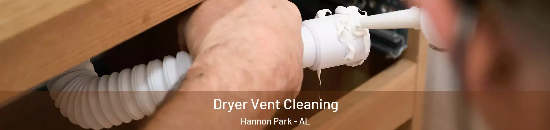 Dryer Vent Cleaning Hannon Park - AL