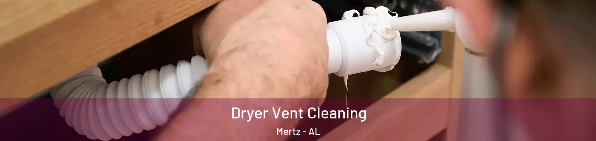 Dryer Vent Cleaning Mertz - AL