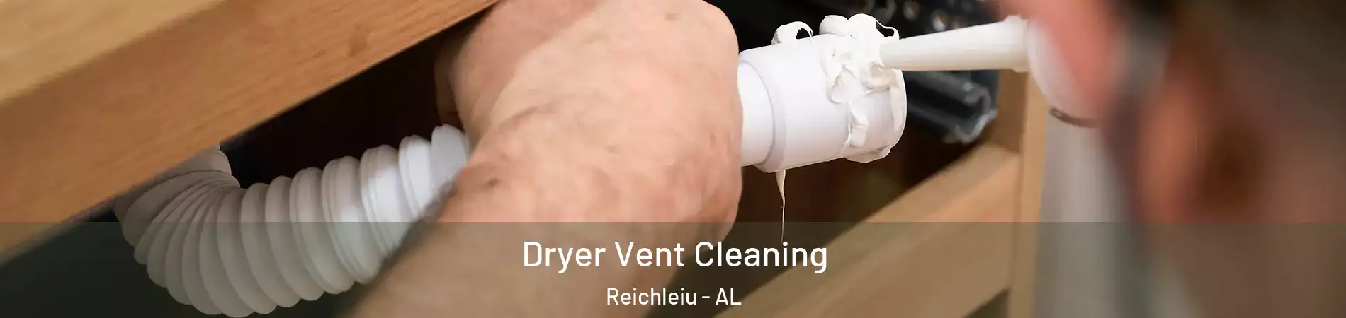 Dryer Vent Cleaning Reichleiu - AL