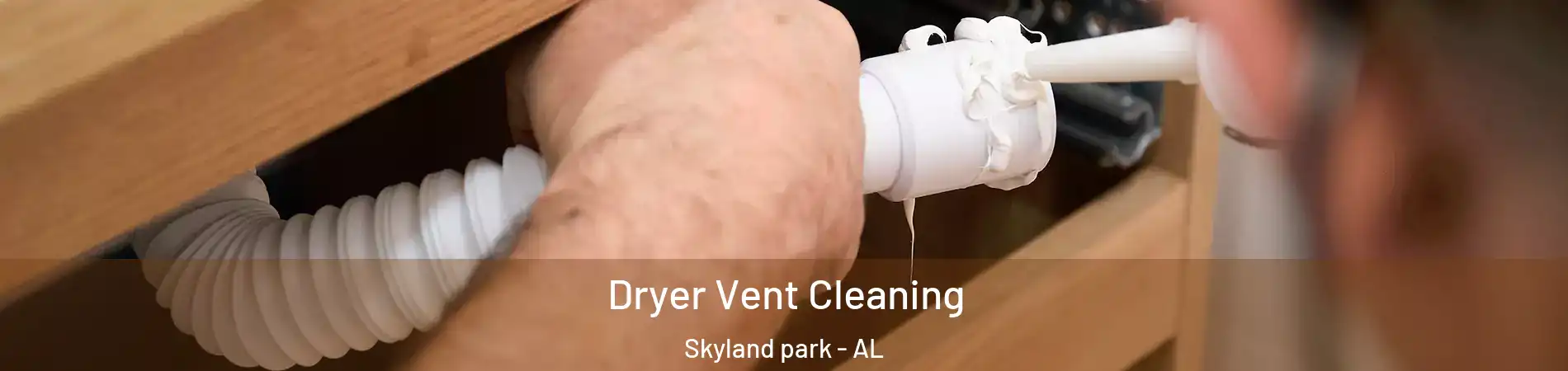 Dryer Vent Cleaning Skyland park - AL