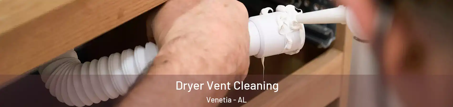 Dryer Vent Cleaning Venetia - AL
