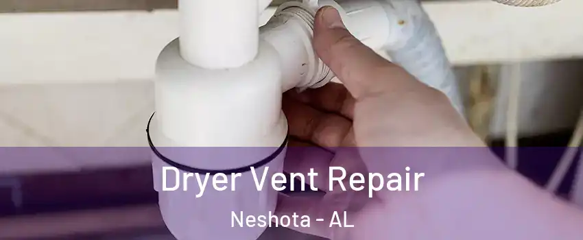 Dryer Vent Repair Neshota - AL