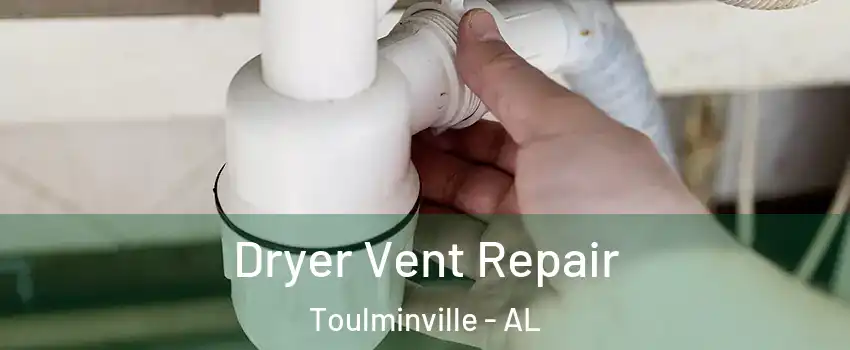 Dryer Vent Repair Toulminville - AL
