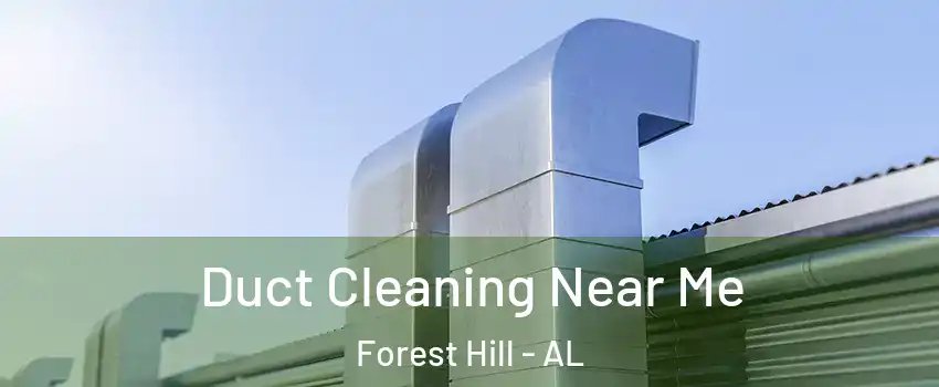 Duct Cleaning Near Me Forest Hill - AL
