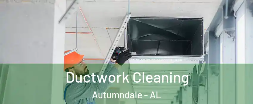 Ductwork Cleaning Autumndale - AL