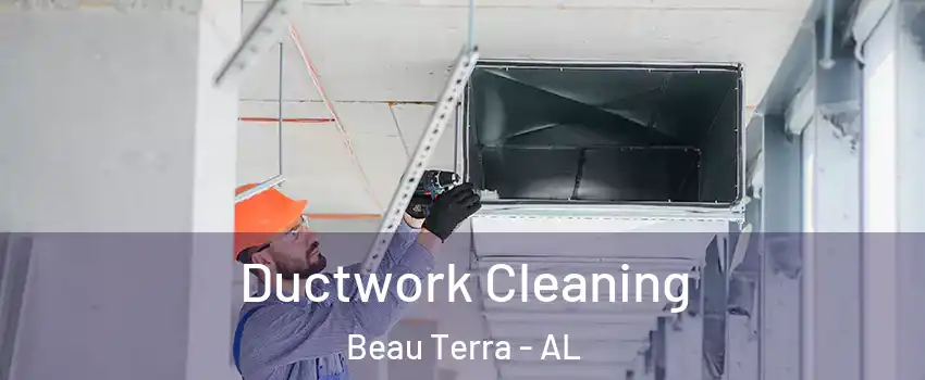 Ductwork Cleaning Beau Terra - AL