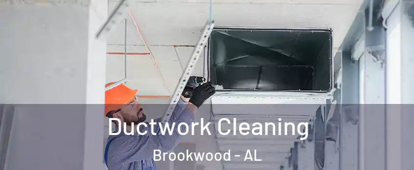 Ductwork Cleaning Brookwood - AL