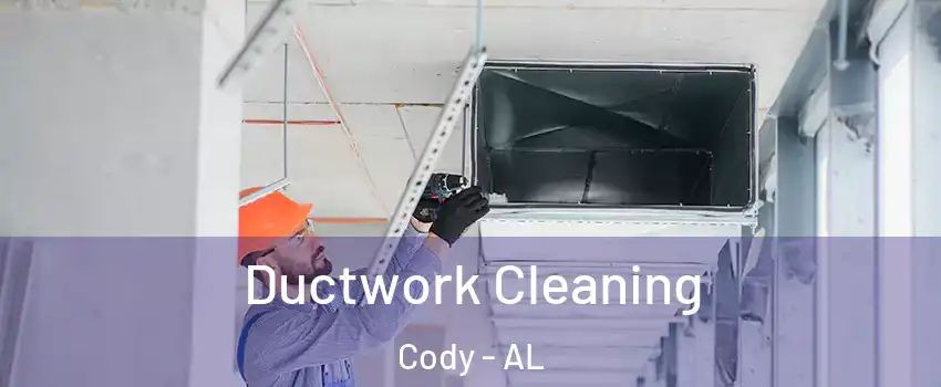Ductwork Cleaning Cody - AL