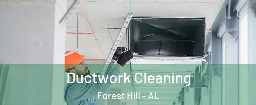 Ductwork Cleaning Forest Hill - AL