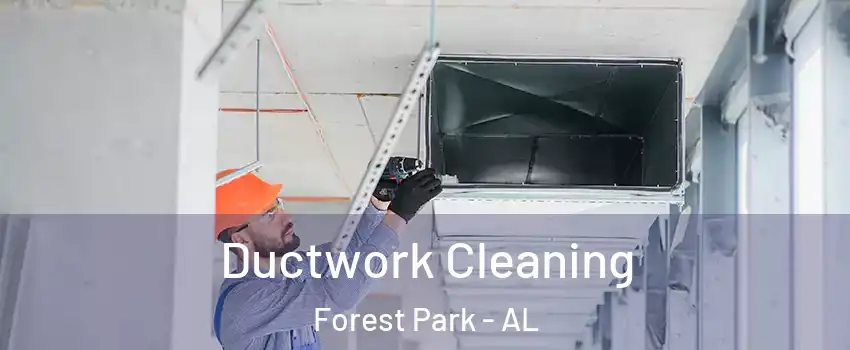 Ductwork Cleaning Forest Park - AL