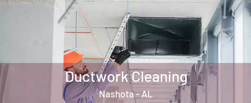 Ductwork Cleaning Nashota - AL