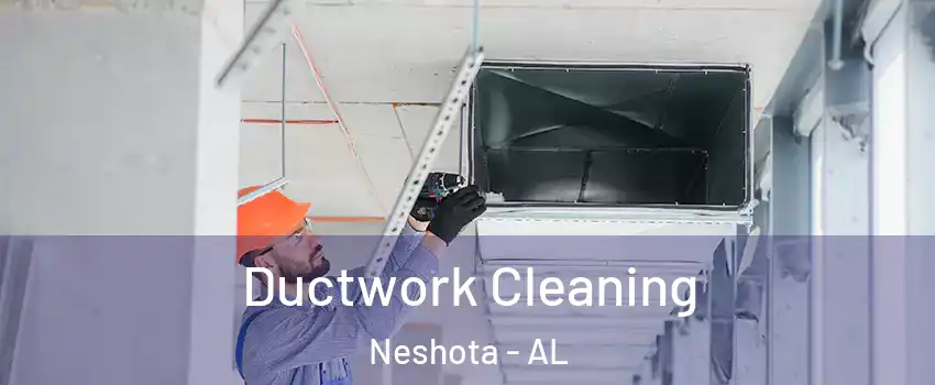 Ductwork Cleaning Neshota - AL