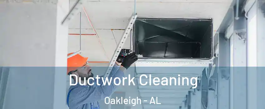 Ductwork Cleaning Oakleigh - AL