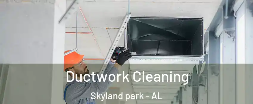 Ductwork Cleaning Skyland park - AL