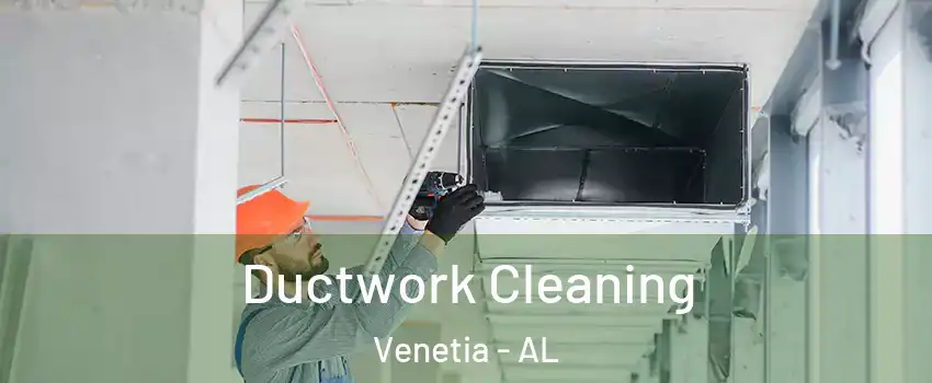 Ductwork Cleaning Venetia - AL